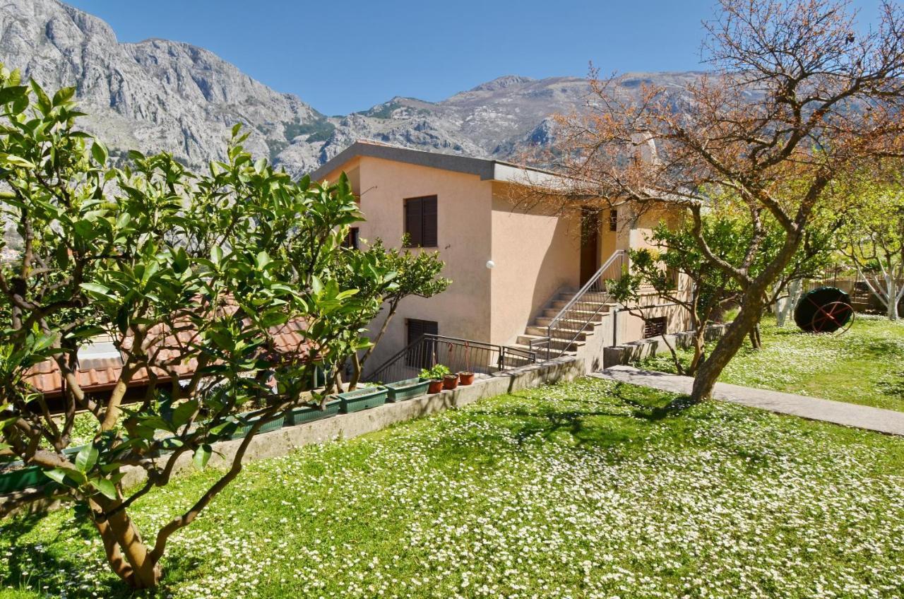 Apartments Andrija Kotor Buitenkant foto