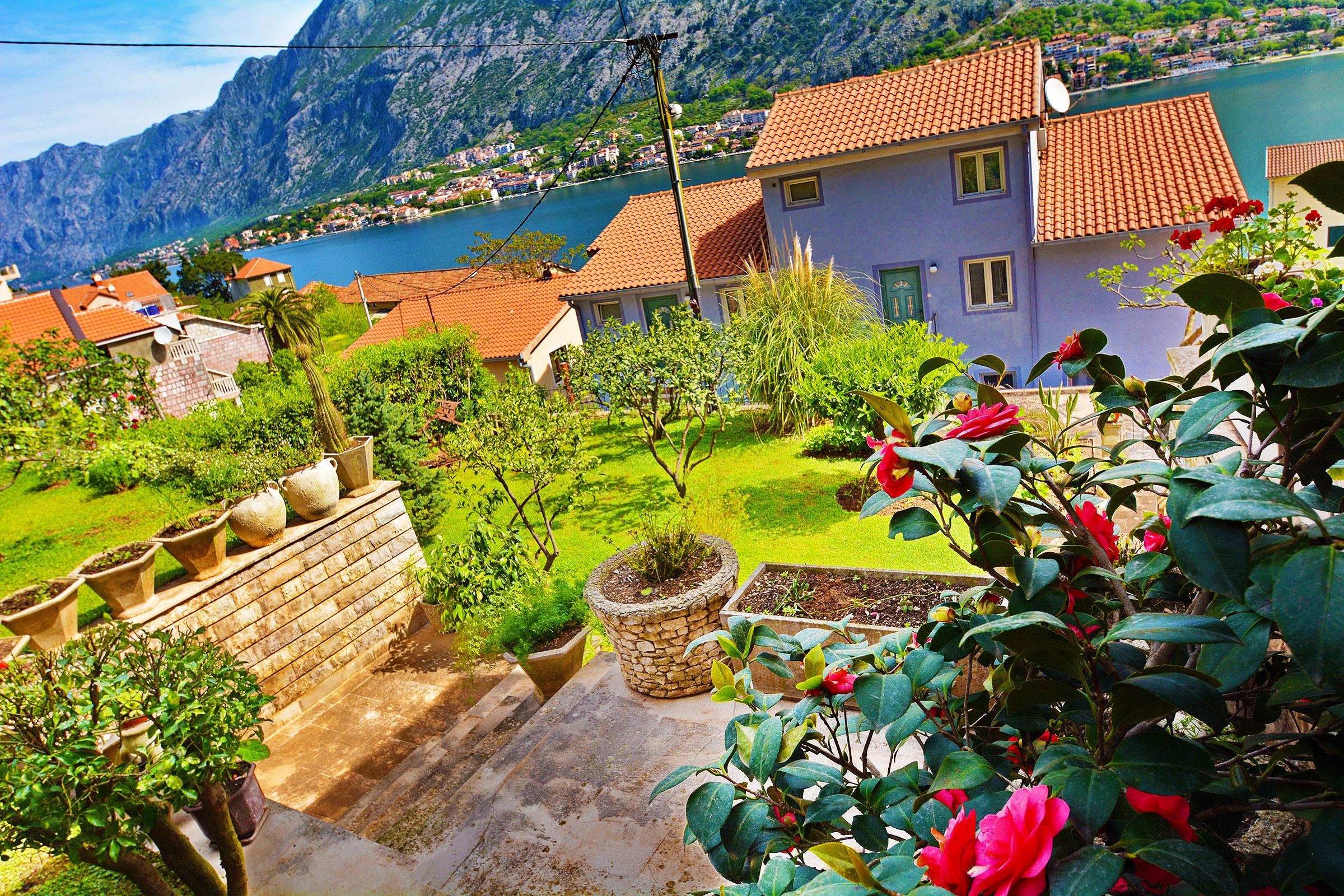 Apartments Andrija Kotor Buitenkant foto