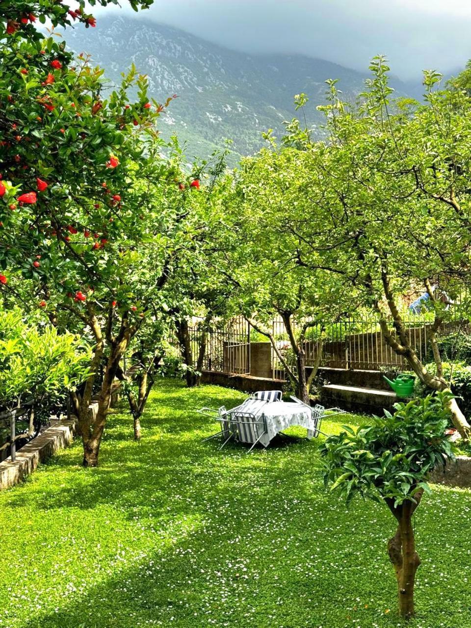 Apartments Andrija Kotor Buitenkant foto